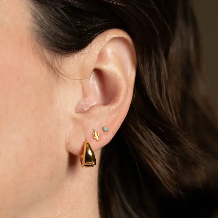 Cactus and Turq Earring Set